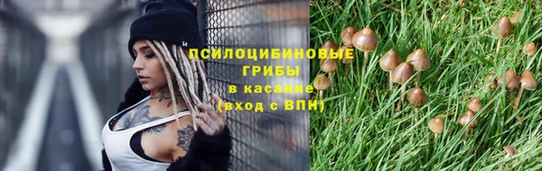 a pvp Кулебаки