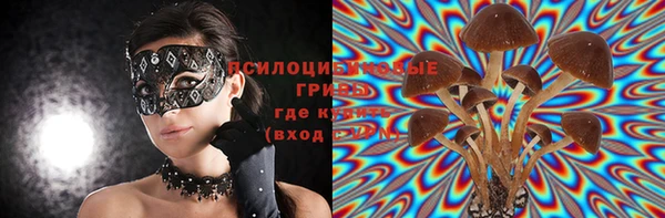 бутират Кукмор
