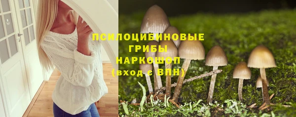 a pvp Кулебаки
